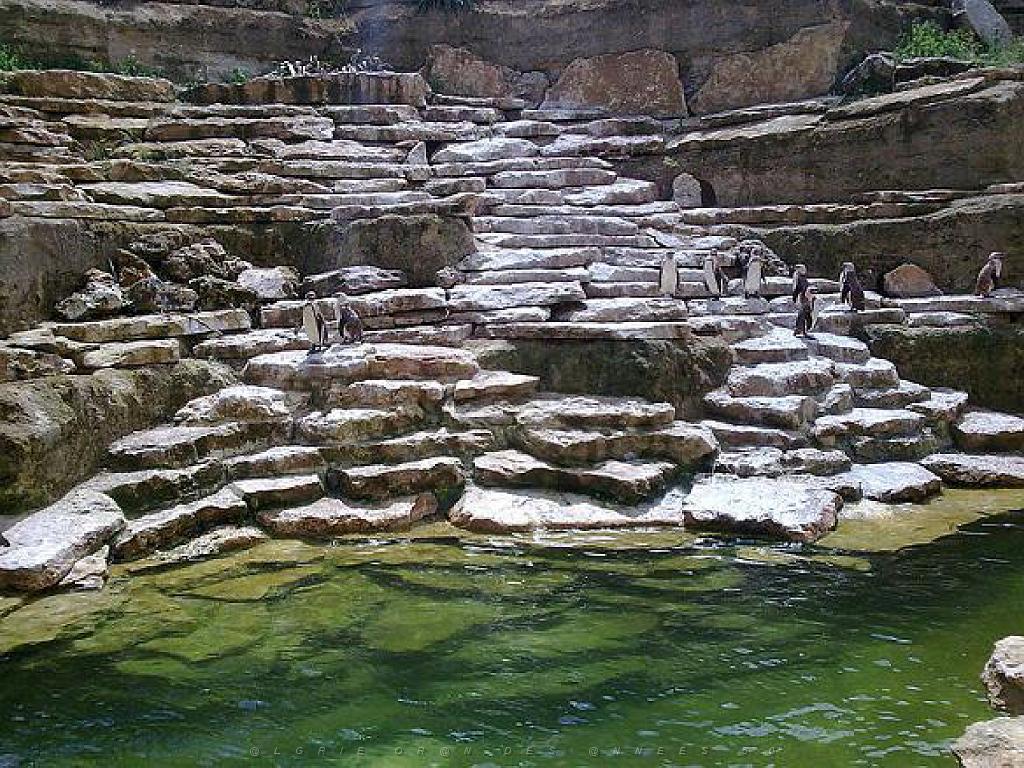 149 BIO PARC DE DOUE LA FONTAINE 6- 2016_000035.jpg